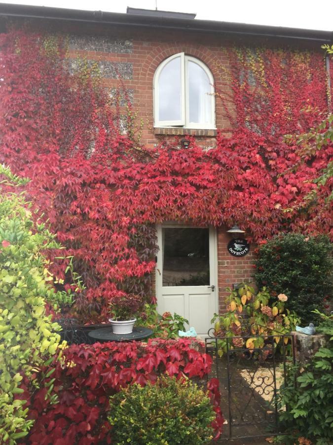The Dovecote, Stoke Farthing Courtyard Vila Broad Chalke Exterior foto
